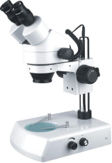 上海缔伦XTL-2400连续变倍体视显微镜