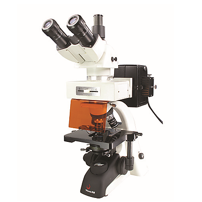 江西凤凰PH100-YG1系列荧光显微镜