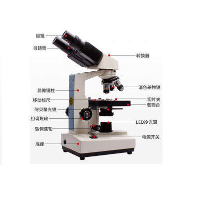 江西凤凰XSP-36双目生物显微镜