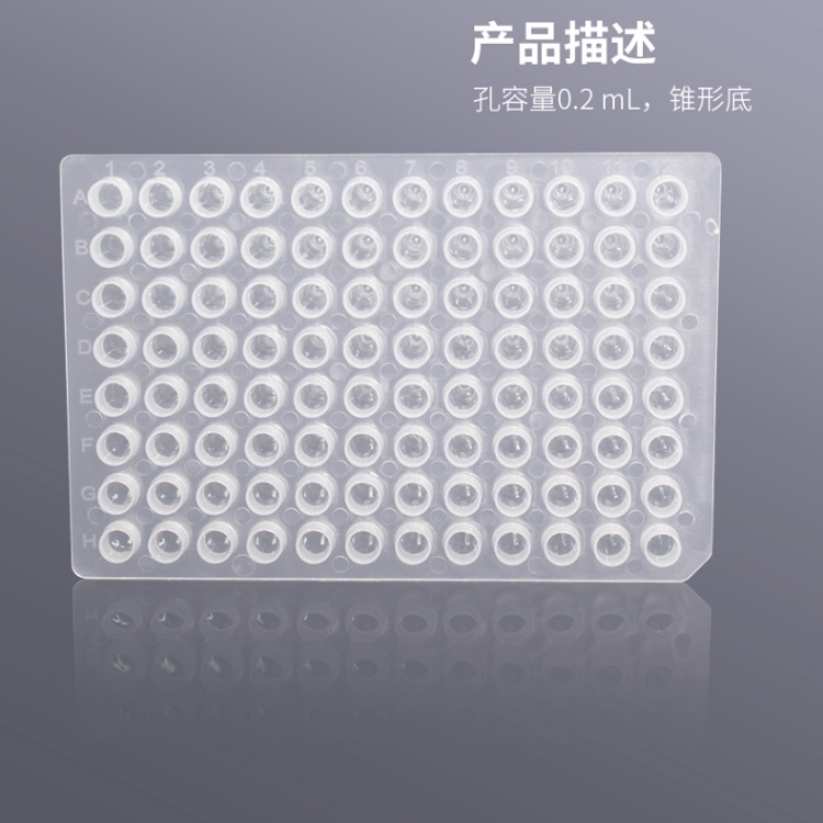 Biosharp 96孔0.2ml无裙边透明高位PCR板