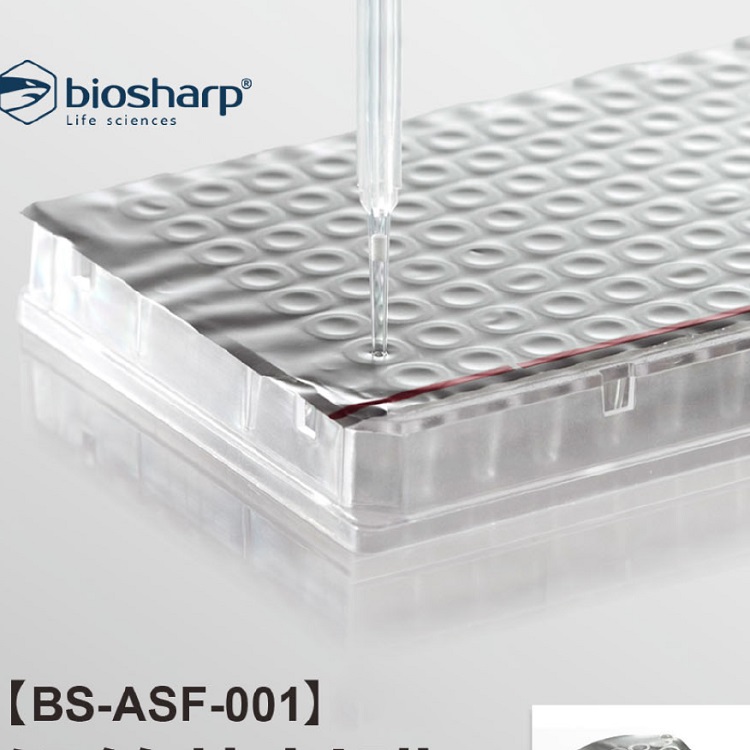 Biosharp 96孔PCR板铝箔热封膜