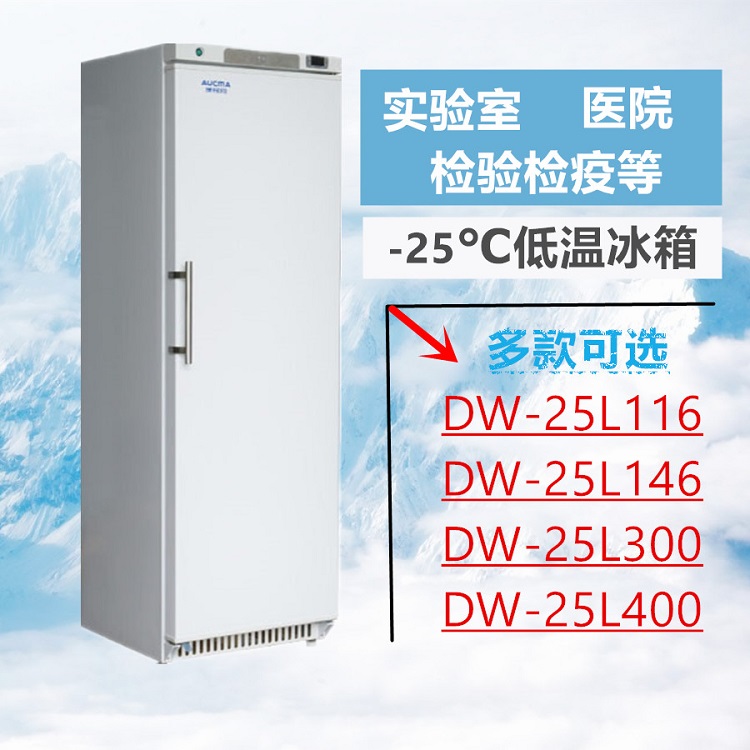 澳柯玛DW-25L300低温保存箱