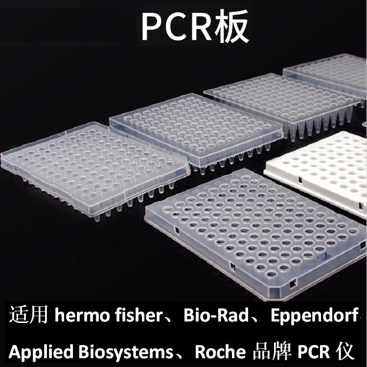 96孔0.2ml无裙边PCR板
